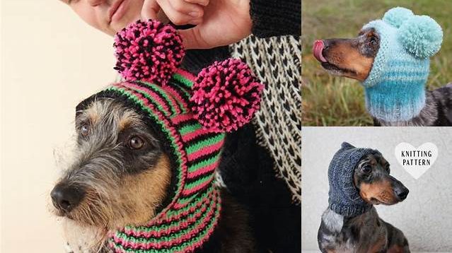 5890+ Free Knitting Pattern For Dog Hat With Ear Holes