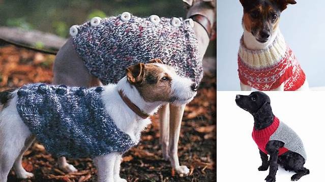 6497+ Free Knitting Patterns For Dog Coats Australia