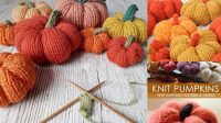 7270+ Free Knitting Pattern For Pumpkin Straight Needles