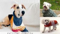 757+ Free Knitting Patterns For Dog Jumpers