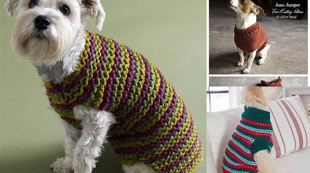 8298+ Free Knitting Patterns Dog Sweater