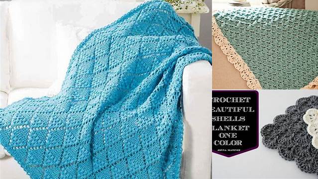 8966+ Crochet Blanket Patterns One Color